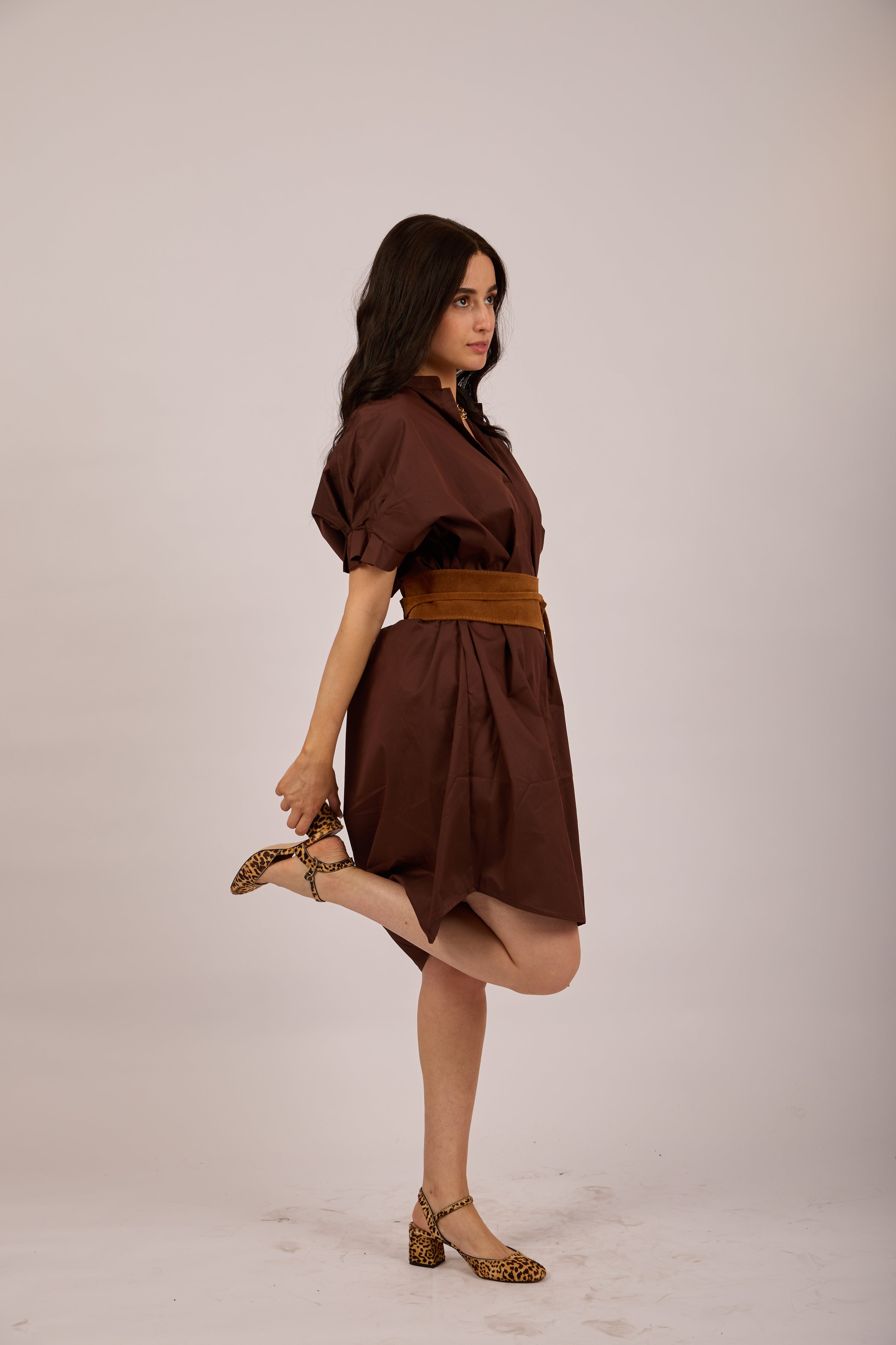 Ellia Poplin Midi Dress