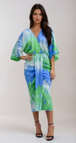 Cameron Dress