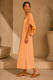 Fallone Ruffle Sleeve Dress