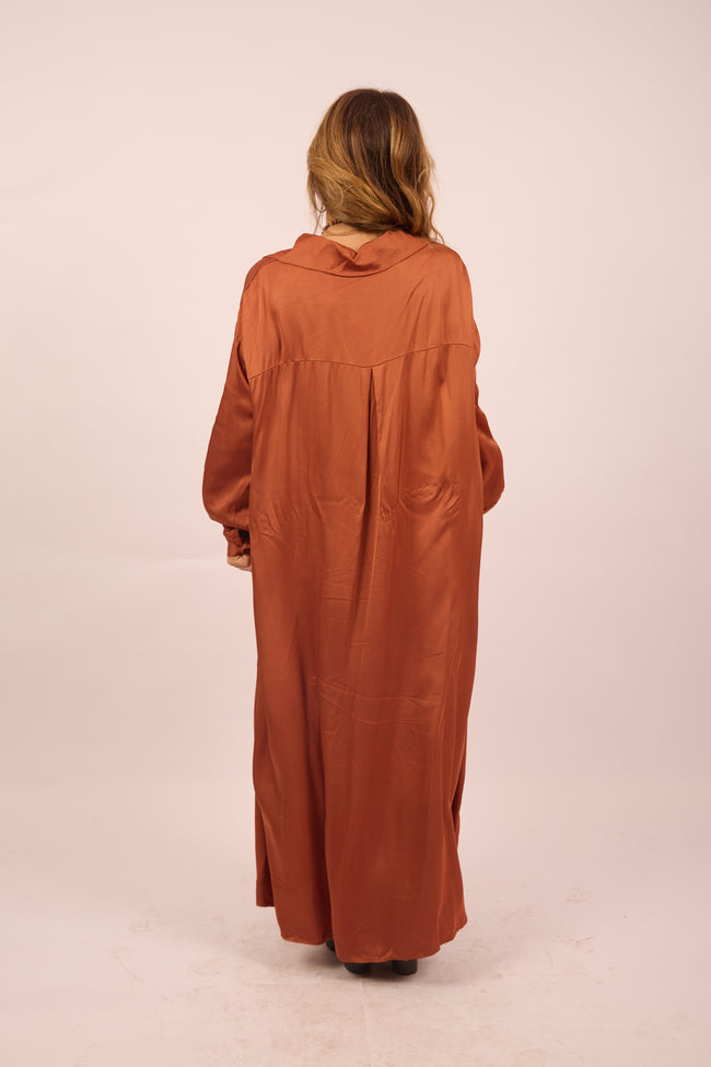 Liora Satin Shirt Dress