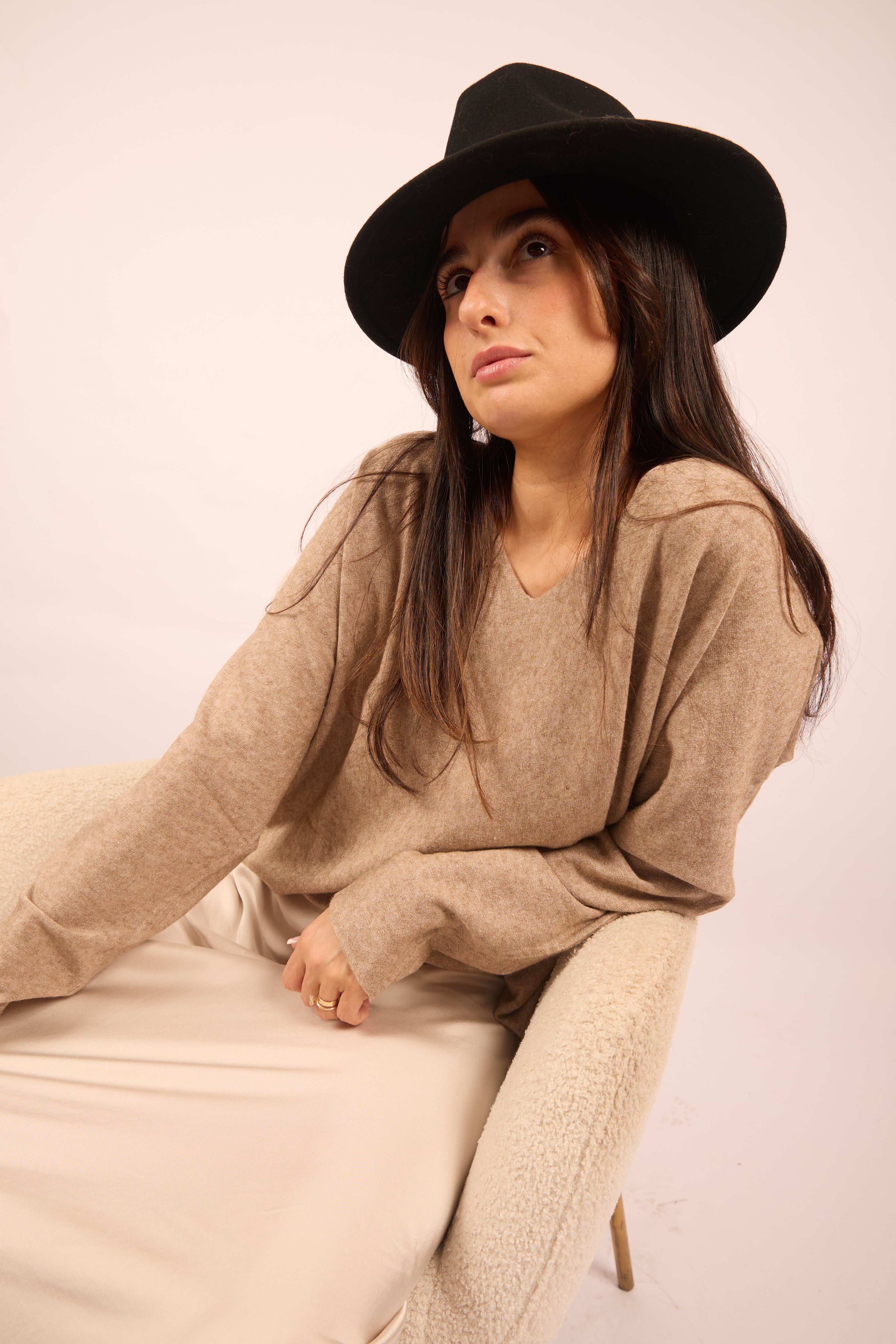 Amanda Camel V-Neck Soft Knit Top